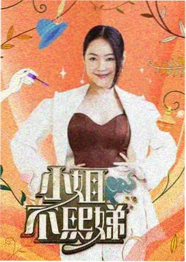 芦苇荡芦花盛期观鸟窗口期的栈道人群记录